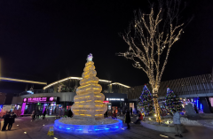 嘉禾四季汇圣诞狂欢夜，一次唯美浪漫的真冰雪王国之旅！